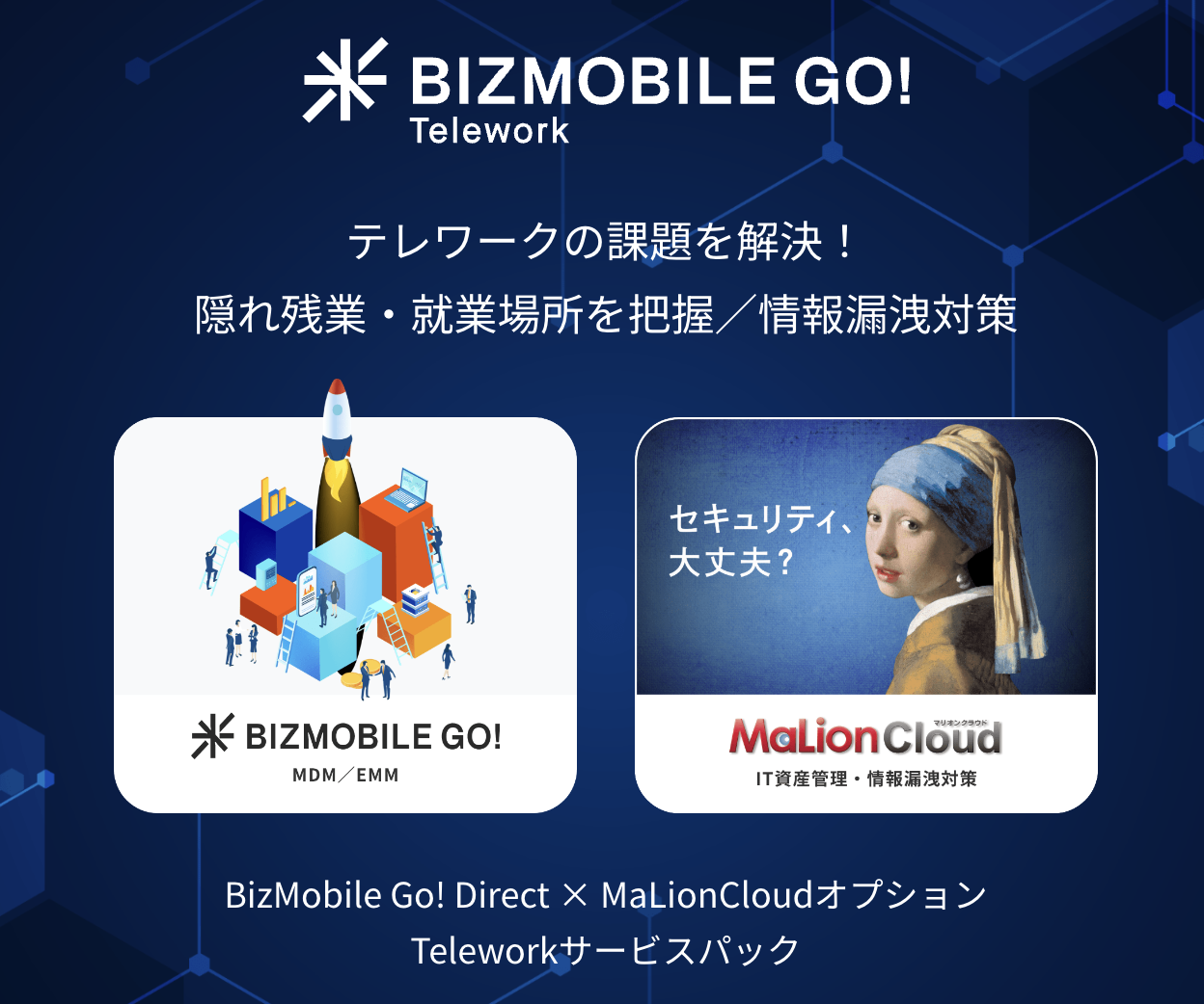 BizMobile Go! Direct for Telework